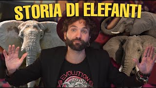 Un ELEFANTE come non l’avete MAI visto [upl. by Lesiram]