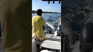 Trolling Surprise at Anthonys Key Guess the Catch 🎣🐟 RoatanFishing HookedUp FishingLife [upl. by Cook904]