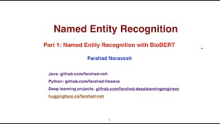 Part 1 Named Entity Recognition with BioBERT [upl. by Ardena]