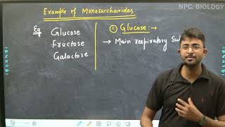 Lec12  Monosaccharides  Classification Of Carbohydrates  Biomolecule Class 11th  NEET [upl. by Ardekahs]