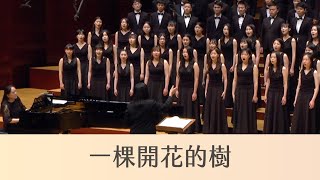 一棵開花的樹 A Tree In Blossom（席慕蓉詩／劉新誠曲） National Taiwan University Chorus [upl. by Juan728]