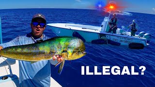 THE COPS WANTED MY FISH Patch Reef Fishing Florida Keys [upl. by Lrad700]