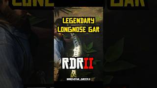 RDR 2  Legendary Fish  Legendary Longnose Gar rdr2 shorts [upl. by Nyla]