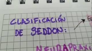 Clasificación de Seddon ¿Qué le pasa a Messi [upl. by Rizas]