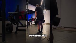 Dumbbell RDL [upl. by Elfrieda]