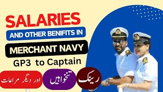 Merchant Navy Salaries EXPOSED Shocking Truth About Benefits [upl. by Somar]