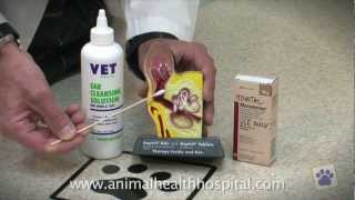 Animal Health Hospital How To Clean Your Pets Ears [upl. by Baudoin]