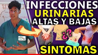 INFECCIÓN URINARIA EN MUJERES SÍNTOMAS  GuiaMed [upl. by Grimbal]