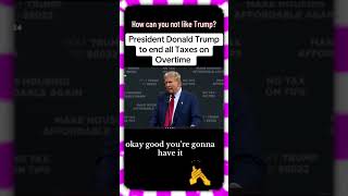 How could you not like Trump [upl. by Granthem]