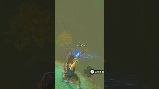 Blue Flame Snipe The Legend of Zelda Breath of the Wild [upl. by Hendry]