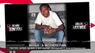 Bryka  A Mothers Pain Insecurity Riddim April 2013 [upl. by Lib584]