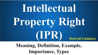 Intellectual Property Rights IPR Meaning Definition Examples Benefits of IPR UPSC NCERT Bba [upl. by Kajdan]