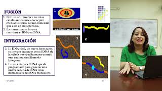 BIOLOGIA MOLECULAR 5 Transcripción Inversa  Dra Glenny Mirabal  Bioquímica [upl. by Aelahs]