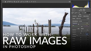 How to Work with RAW Images in Photoshop [upl. by Bauer]