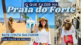 PRAIA DO FORTE  O que fazer em um BATE VOLTA com todos os preços [upl. by Nor]