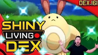 OMG RANDOM SHINY SENTRET REACTION Live Quest For Shiny Living Dex 161  Pokemon XY [upl. by Ecniuq]