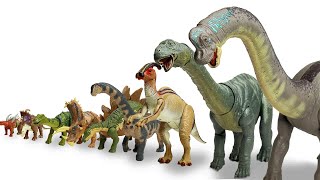 ENTIRE Herbivore Collection Big to Small  Brachiosaurus Apatosaurus Stegosaurus and More [upl. by Yarehs987]