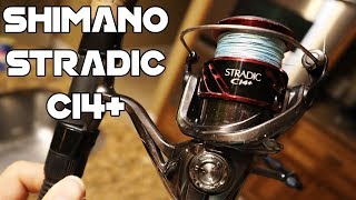 SHIMANO STRADIC Ci4 Reel REVIEW One of the BEST Spinning Reels on the Market [upl. by Cran]