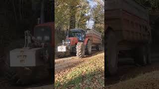 AGRICULTRICE  UN TRACTEUR MASSEY FERGUSON A CHARGE QUI PATINEagricultrice agriculture [upl. by Nij]