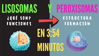 ¿qué son los lisosomas y peroxisomas Estructura y funciones de lisosomas y peroxisomas FÁCIL 2020 [upl. by Schafer]