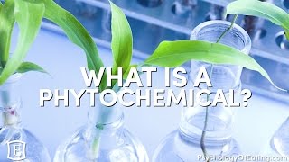 What is a Phytochemical  with Marc David [upl. by Chet]