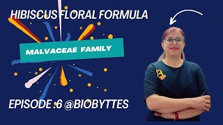 EPISODE 6 HOW TO WRITE HIBISCUS FLORAL FORMULA MALVACEAE FAMILY BIOBYTTES practical biology [upl. by Katsuyama]