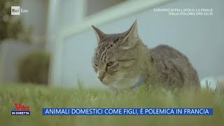 Animali domestici come figli è polemica in Francia  La vita in diretta 16092023 [upl. by Neerom]