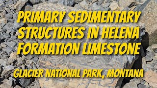 Primary Sedimentary Structures in Helena Formation Limestone [upl. by Venterea239]