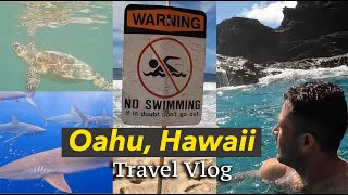 Things to Do in Oahu Hawaii  Oahu Travel Guide Vlog [upl. by Henrion696]