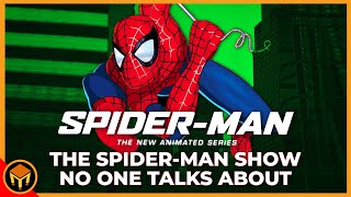 The CRAZY CG SpiderMan Show No One Talks About  The New Animated Series 2003 [upl. by Iilek]