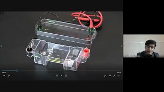 Agarose Gel Electrophoresis amp Casting an Agarose Gel [upl. by Newman]