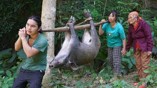 detecting wild boars making traps to catch them and raise them farm life SURVIVAL ALONE [upl. by Fishbein]