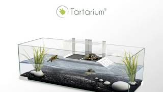 Tartarium by Ciano [upl. by Vaenfila861]