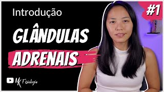 1 GLÂNDULAS ADRENAIS INTRODUÇÃO  MK Fisiologia [upl. by Ecyar]