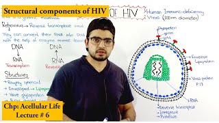 Structure of HIV  Human immunodeficiency virus [upl. by Assel96]