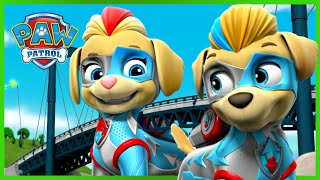 Mighty Pups and Dino Rescues 🦕  PAW Patrol  Cartoons for Kids Compilation [upl. by Eema]