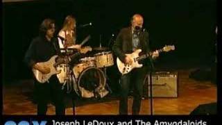 Joseph LeDoux and The Amygdaloids at 92nd Street Y [upl. by Terence533]