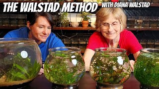 The Simplest Planted Aquarium With Diana Walstad [upl. by Gregorius]