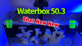 Waterbox 503 AIO Reef Tank Build  Ep 1  That New New [upl. by Orth]