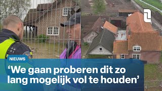 Bezetting hoeve Susteren duurt voort  L1Nieuws [upl. by Onairot]