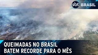 Brasil registra pior agosto para queimadas em 14 anos diz Inpe  SBT Brasil 020924 [upl. by Adnamma]