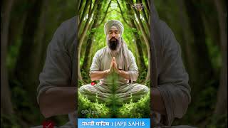 Japji Sahib l 99 l meditation canada nitnemjapjisahib nitnempath japjisahib waheguruwaheguru [upl. by Inar]