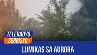 Over 4K families evacuated in Dinalungan Aurora due to ‘Nika’ MDRRMO  11 November 2024 [upl. by Jori]