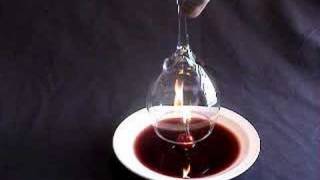 Wine in an upside down glass trick [upl. by Grannie]