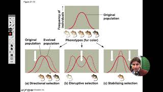 AP Biology 73  Gene Flow Stabilizing Directional and Disruptive Selection [upl. by Atikkin]