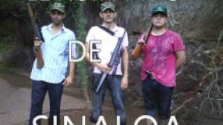 EL COMANDO DE SINALOA el corrido del bitache [upl. by Chubb]