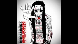 Lil Wayne  Devastation ft Gudda Gudda Dedication 5 Mixtape [upl. by Lawley]