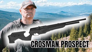 Crosman Prospect PCP Air Rifle [upl. by Stirling914]