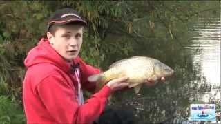 Catching Carp on Winter match fishing tactics Boilie fishing bait tips [upl. by Dyol827]