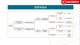 GASTROENTEROLOGÍA Disfagia  Estudios MYC [upl. by Ennaeiluj]